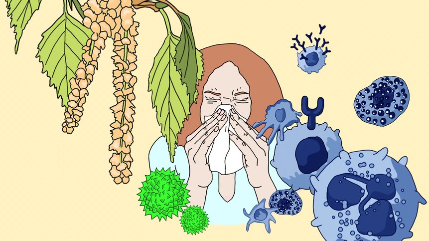 Allergies: when the immune system backfires