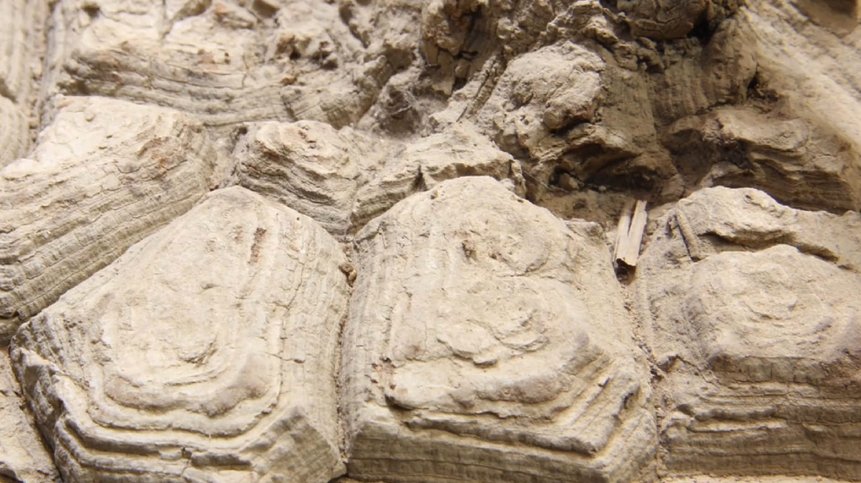 Exploring Possible Futures